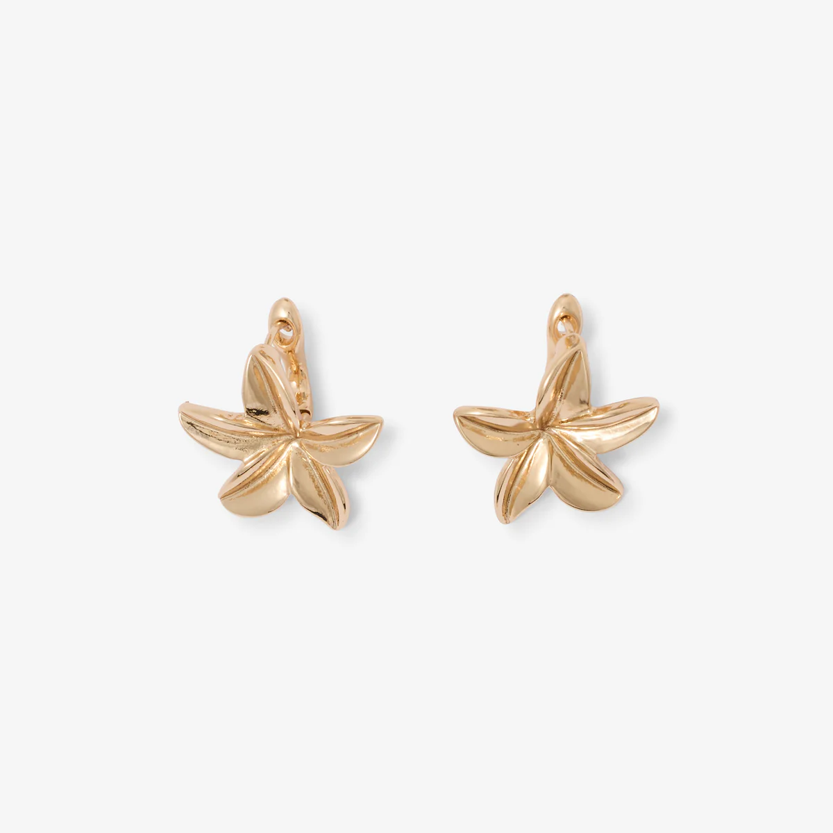 Boucles d'oreilles fleur tropicales dorées