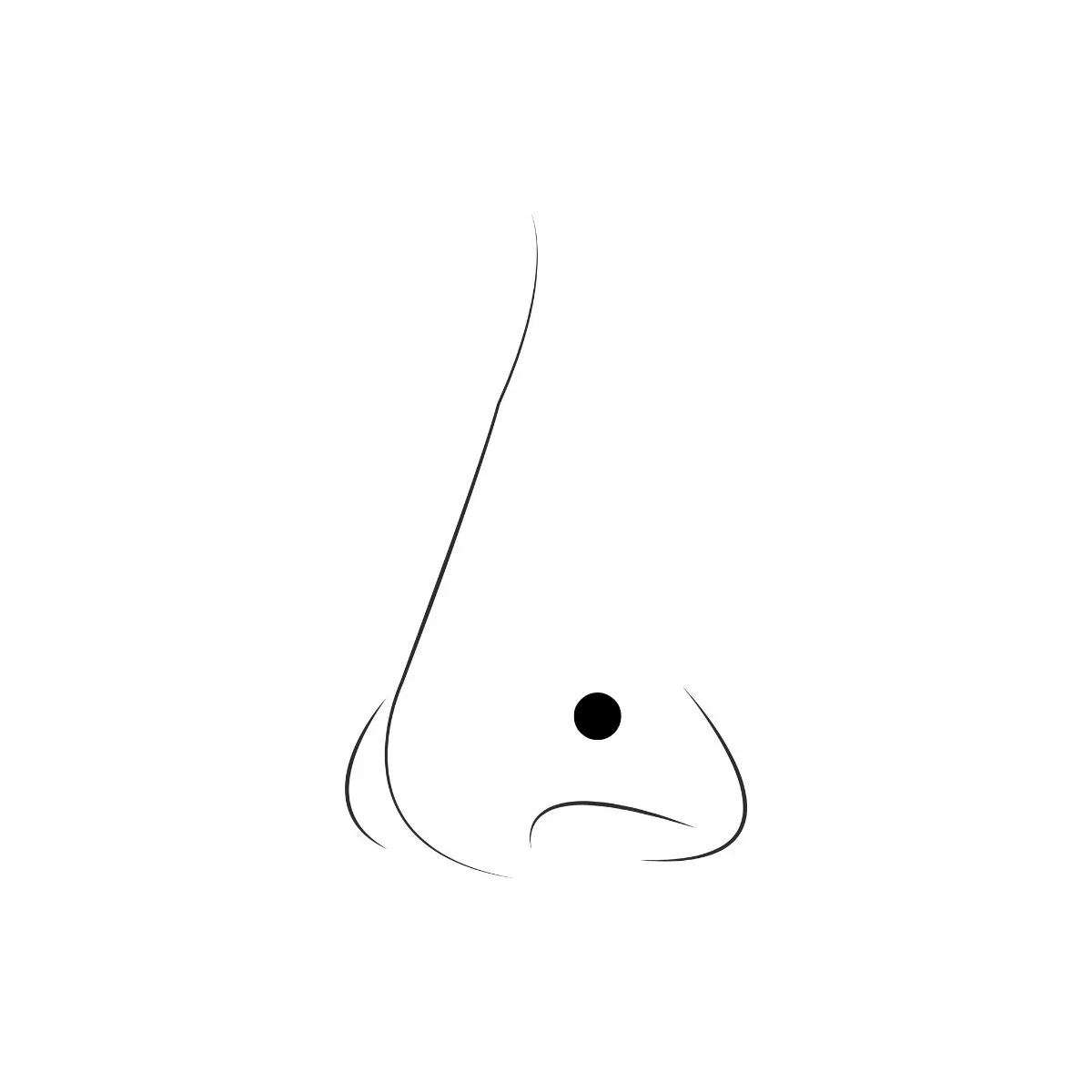 Set de 5 piercings nez anneaux argentés en argent garanti 925 - Image 3